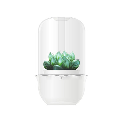 Personality Lazy Succulent Plant Pot