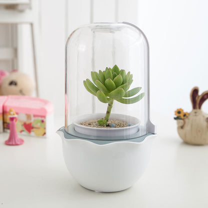 Personality Lazy Succulent Plant Pot